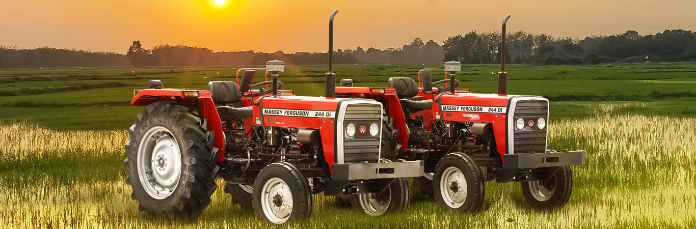 TAFE Launches Massey Ferguson 244 - Puddling Special Tractors for Andhra Pradesh
